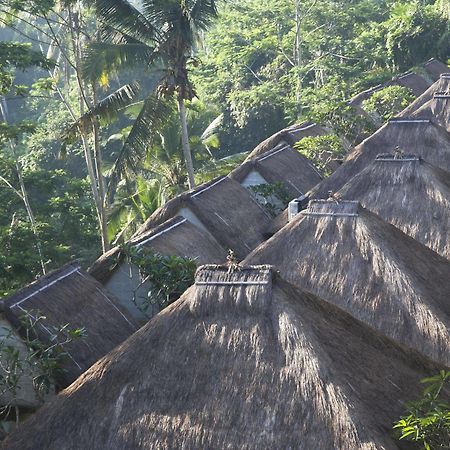 Tejaprana Resort & Spa Ubud Exteriér fotografie The roofs of the hotel