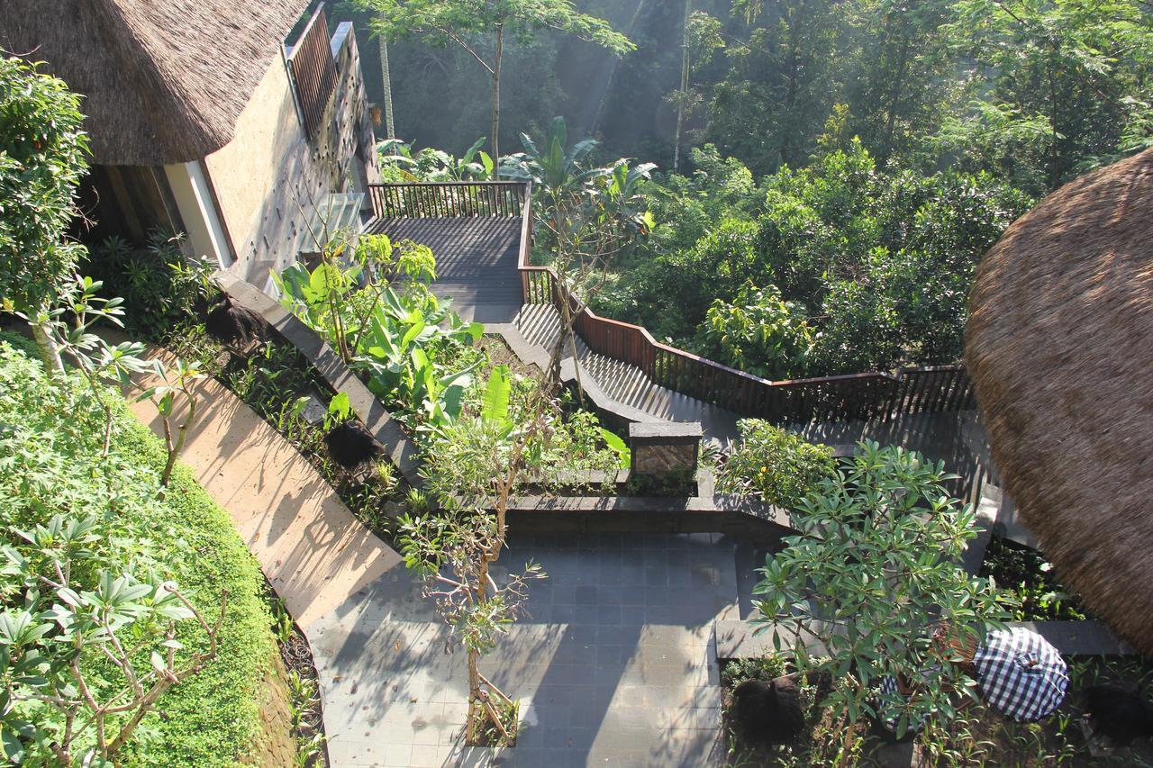 Tejaprana Resort & Spa Ubud Exteriér fotografie The path to the viewing platform