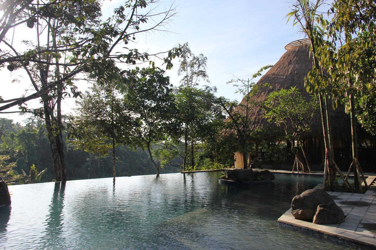 Tejaprana Resort & Spa Ubud Exteriér fotografie The resort's swimming pool