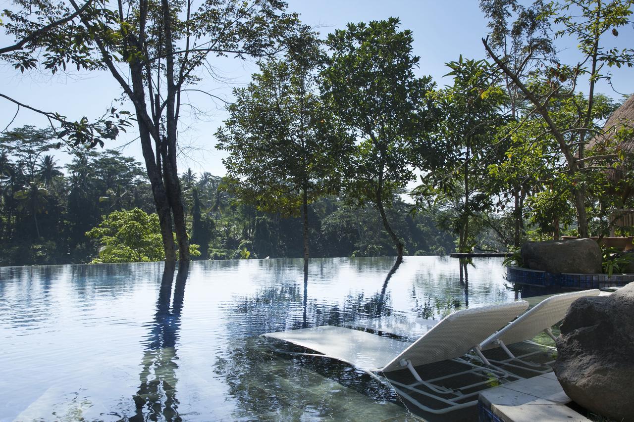Tejaprana Resort & Spa Ubud Exteriér fotografie The flooded park